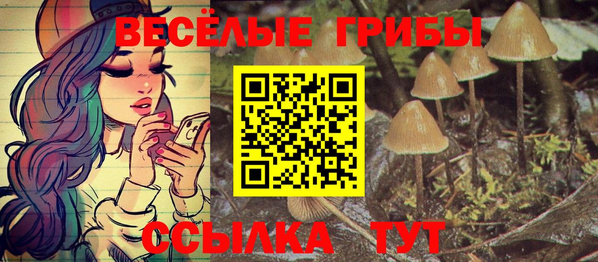 Псилоцибиновые грибы мухоморы  Вход с VPN  Псилоцибиновые грибы MAGIC MUSHROOMS  Рыбинск 